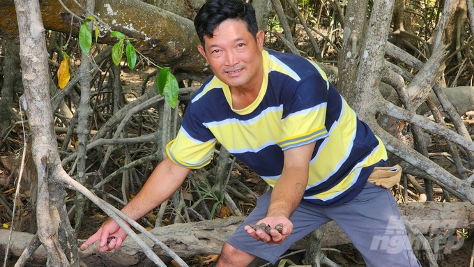 Mr. Truong Van Dung from An Thanh 3 commune, Cu Lao Dung district has developed his livelihood by raising aquatic products under the forest canopy and organizing community tourism. Photo: Van Vu.