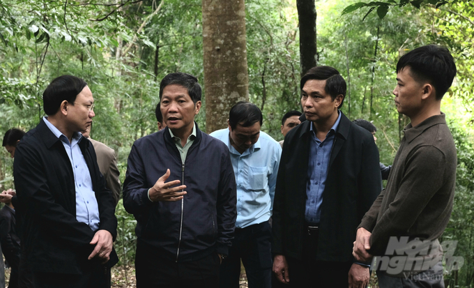 Trưởng Ban Kinh tế Trung ương Trần Tuấn Anh: 'Giữ được khu rừng lim như thế này là rất quý báu'. Ảnh: Cường Vũ