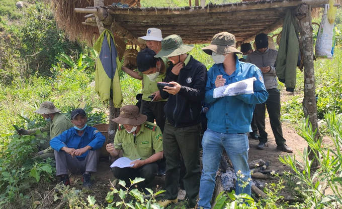 Phối hợp kiểm tra tình hình phá rừng tại tỉnh Đắk Lắk. Ảnh: Minh Quý.