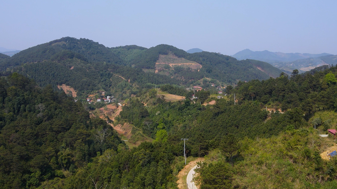 Tỉ lệ che phủ rừng ở Lạng Sơn đạt 63,8%, đứng thứ 4 toàn quốc. Ảnh: Nguyễn Thành.