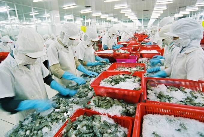 In the first 3 months of the year, seafood exports reached $1.79 billion, down 29.0%. Photo: TL.