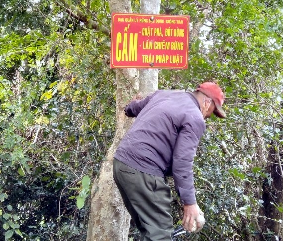Các chủ rừng treo bảng tuyên truyền người dân không khai thác rừng trái phép và phòng chống cháy rừng. Ảnh: KS.