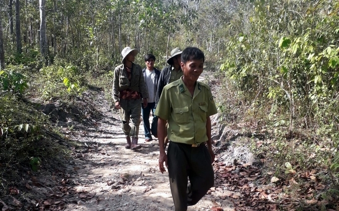Vào mùa khô, lực lượng Ban quản lý rừng đặc dụng Krông Trai căng mình phòng, chống cháy rừng. Ảnh: KS.
