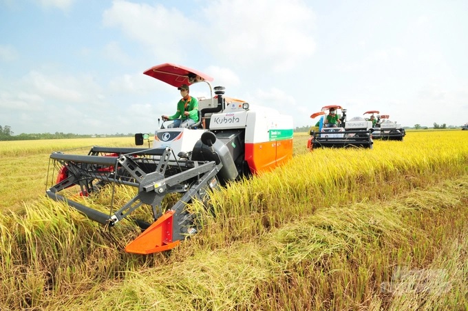 The Asian region contributes 90% of rice serving the world, in which the Mekong Delta rice fields play a very important role. Photo: Le Hoang Vu.