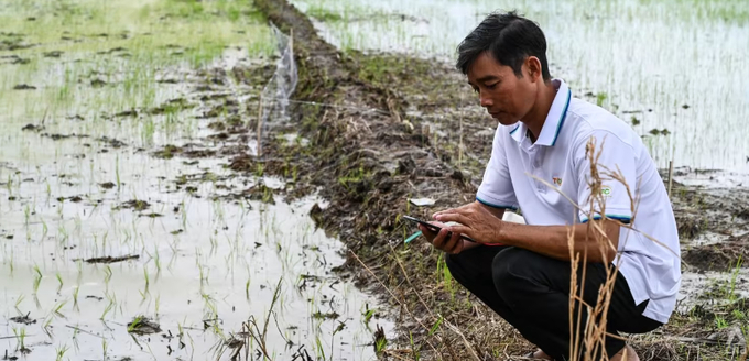 Nguyen Phuoc Hung is a keen user of a farming application. Photo: Jack Board/CNA