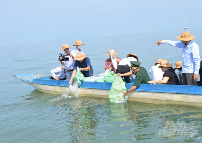 Hơn 5 triệu con tôm giống và tôm, cua giống bố mẹ đã được ngành nông nghiệp Kiên Giang thả về vùng biển tự nhiên để tái tạo nguồn lợi thủy sản Nhân dịp kỷ niệm 64 năm ngày truyền thống ngành thủy sản Việt Nam. Ảnh: Trung Chánh.