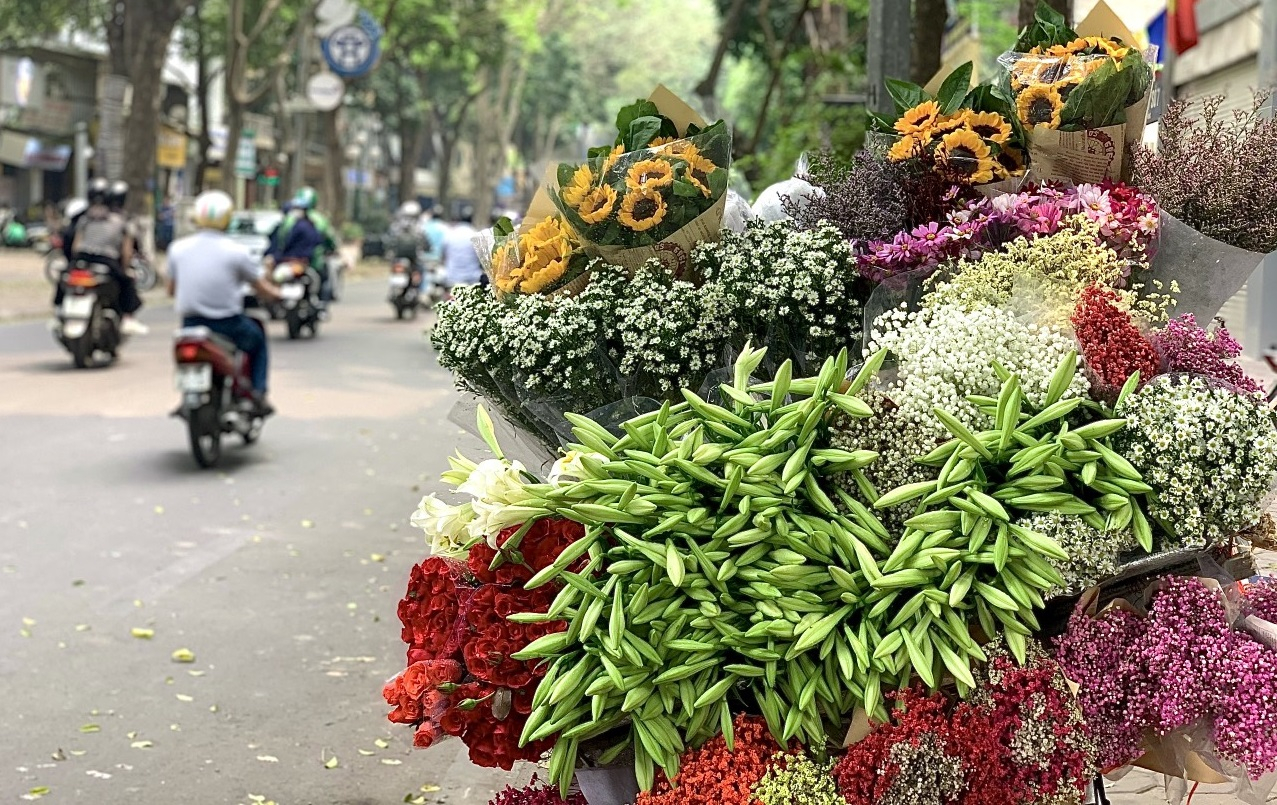 Loa kèn đã bắt đầu xuất hiện trên đường phố Hà Nội.