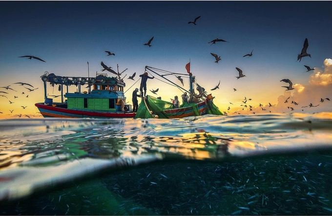 Tác phẩm 'Ngày hy họng' chụp quang cảnh ngư dân đánh bắt cá cơm ngần của nhiếp ảnh gia Trần Bảo Hòa tại vùng biển Bình Định - Phú Yên.