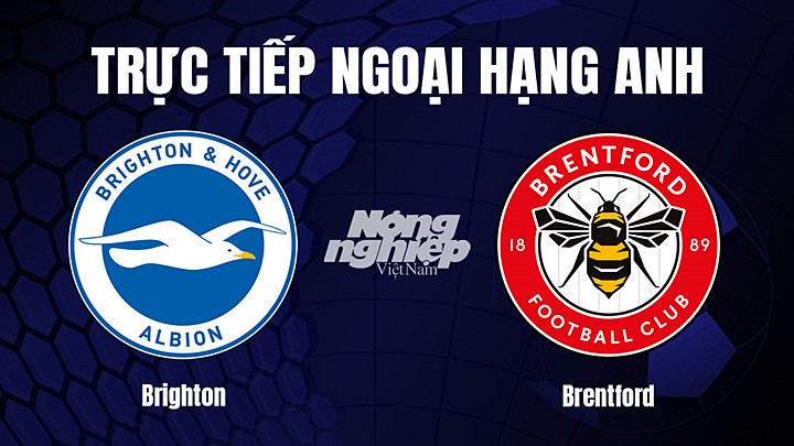 Trực tiếp bóng đá Ngoại hạng Anh giữa Brighton vs Brentford hôm nay 1/4/2023