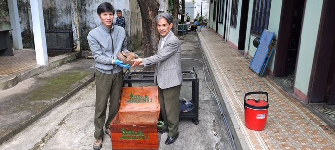 Cuc Phuong National Park received a rescued pangolin. Photo: Cuc Phuong National Park.