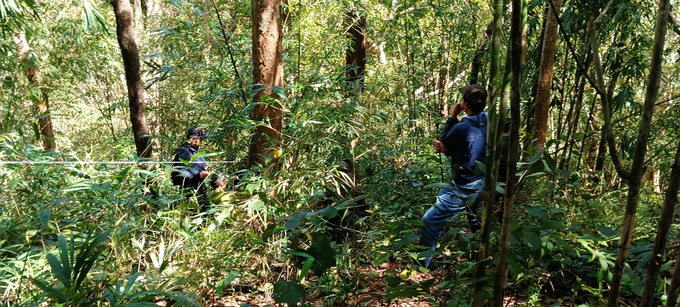 Việc giao khoán rừng cho các hộ gia đình được bảo vệ tốt, ít xảy ra phá rừng. Ảnh: Kim Sơ.