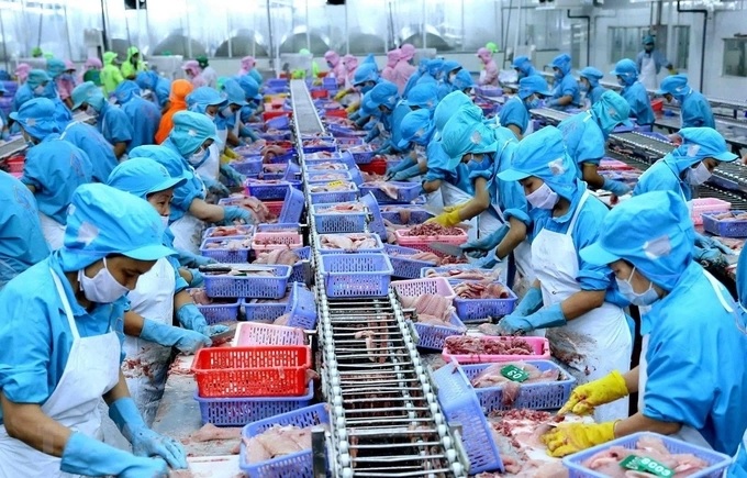 Vietnam's fishery sector has set a target that the export value will reach US$ 14-16 billion by 2030. Photo: TL.