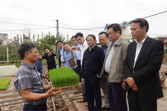 Minister of Agriculture and Rural Development Le Minh Hoan (2nd from the right) and the delegation visited large fields in Dong Hung district, Thai Binh in early 2023. Photo: Minh Phuc.