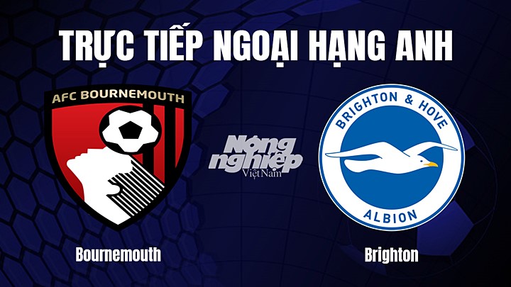 Trực tiếp bóng đá Ngoại hạng Anh giữa Bournemouth vs Brighton hôm nay 5/4/2023