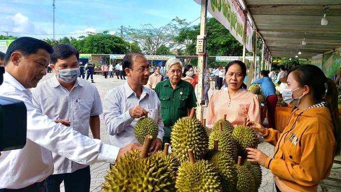 In recent years, thanks to the investment and development of the durian area in Can Tho increased sharply from 802 hectares (in 2018) to 2,965 hectares (in 2022). Photo: Kim Anh.