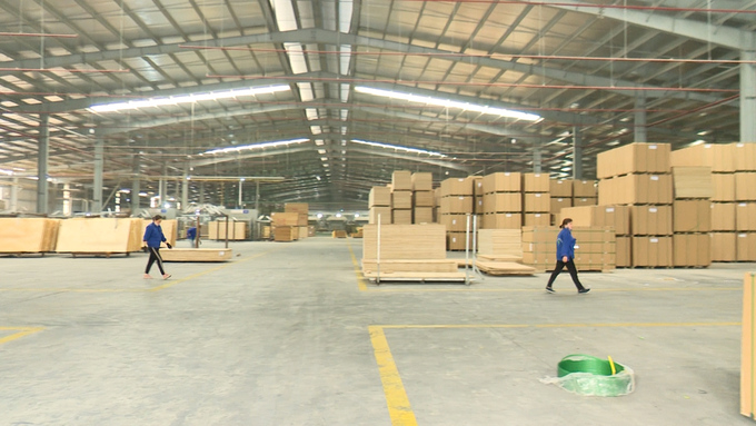 The increasing amount of inventory at wood processing factories in Thanh Binh Industrial Park. Photo: Ngoc Tu.