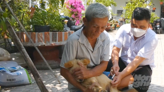 Nhằm ngăn chặn bệnh dại trên chó mèo, ngành chăn nuôi và thú y Tây Ninh đang thực hiện nhiều biện pháp để phòng bệnh từ xa. Ảnh: Lê Bình.