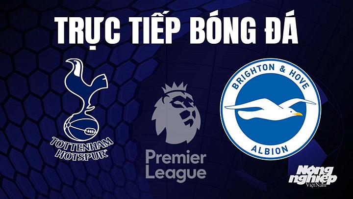 Trực tiếp bóng đá Ngoại hạng Anh giữa Tottenham vs Brighton hôm nay 8/4/2023