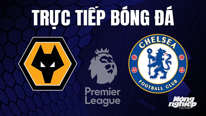 Trực tiếp bóng đá Ngoại hạng Anh giữa Wolves vs Chelsea hôm nay 8/4/2023