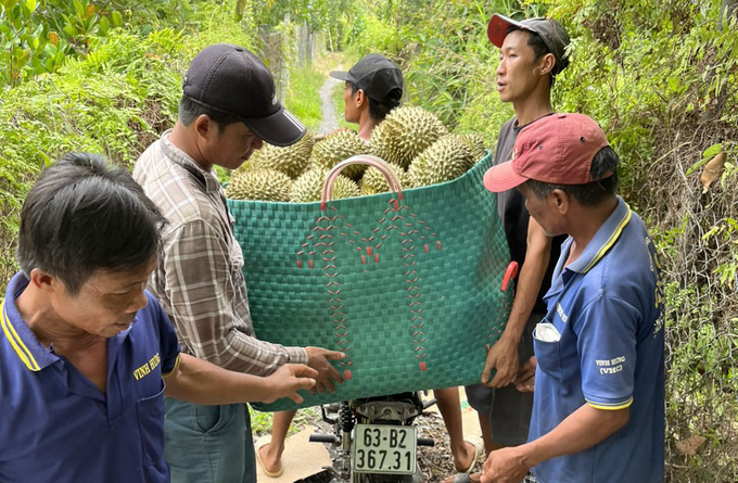 Theo người dân việc doanh nghiệp thu mua như cam kết sẽ tạo được niềm tin giữ 2 bên. Ảnh: Quang Yên.