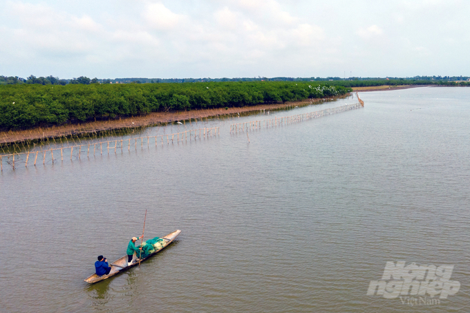 Có rừng ngập mặn, có tuyến đê chắn sóng, cuộc sống người dân cù lao Bắc Phước đã bớt cơ cực. Ảnh: Võ Dũng.