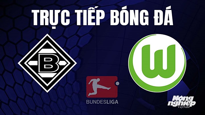 Trực tiếp bóng đá Bundesliga (VĐQG Đức) 2022/23 giữa Gladbach vs Wolfsburg hôm nay 9/4/2023