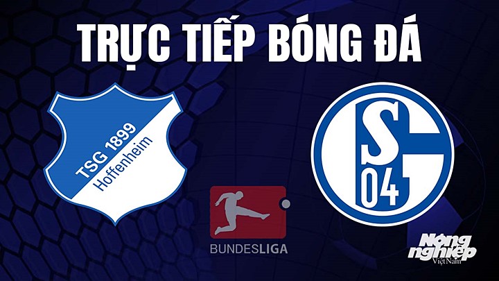 Trực tiếp bóng đá Bundesliga (VĐQG Đức) 2022/23 giữa Hoffenheim vs Schalke 04 ngày 10/4/2023