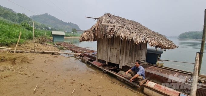 Nhà máy thủy điện sông Lô 8B xả nước, khiến các lồng cá của hộ dân ở xã Thái Hòa, huyện Hàm Yên bị mắc cạn. Ảnh: Đào Thanh.
