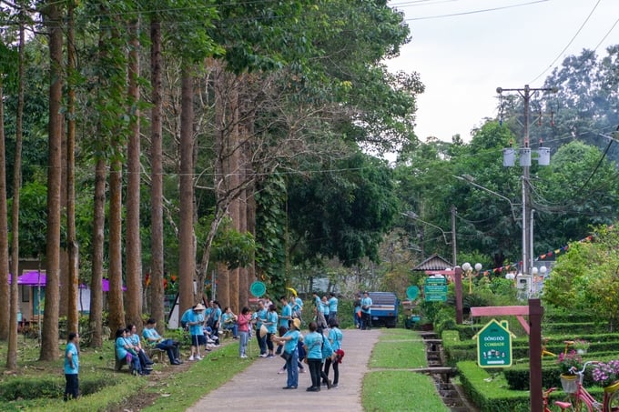 Tourists from all over the world come to experience Cat Tien National Park. Photo: Tran Trung.