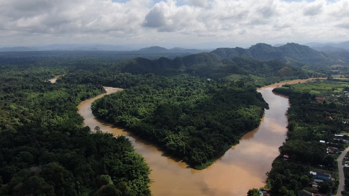 The entire large forest is surrounded by the Dong Nai river. Photo: Tran Trung.
