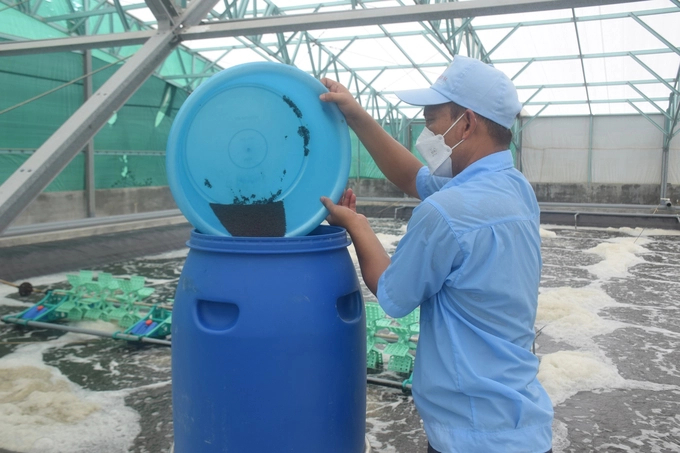 High-tech shrimp farming at Vietnam-Australia Phu My Co., Ltd (Binh Dinh). Photo: V.D.T.