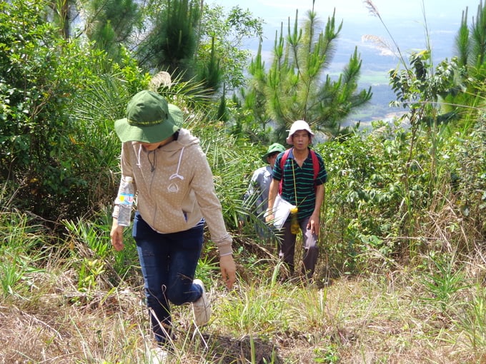 Lực lượng bảo vệ rừng huyện Vĩnh Thạnh (Bình Định) tuần tra bảo vệ rừng. Ảnh: Vũ Đình Thung.