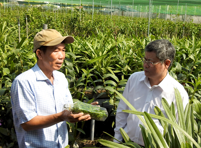 Ông Phạm Lâm Chính Văn, Giám đốc Trung tâm Khuyến nông TP.HCM (áo trắng) trao đổi với ông Lưu Cẩm Hùng về kỹ thuật trồng hoa lan. Ảnh: Thanh Sơn.