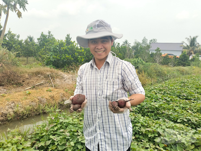 Lấy mẫu giám sát dư lượng thuốc bảo vệ thực vật tại vùng trồng chuẩn bị xuất khẩu. Ảnh: Minh Đảm.