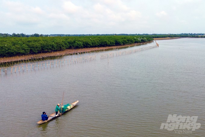 Thanks to mangroves and breakwaters, the people's lives on Bac Phuong Island have become less destitute. Photo: Vo Dung.