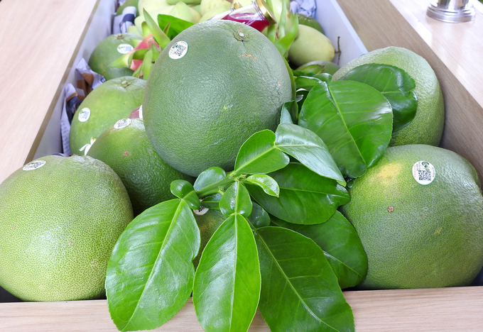 Vietnam's pomelos have been licensed to export to the USA and New Zealand in 2022. Photo: Son Trang.