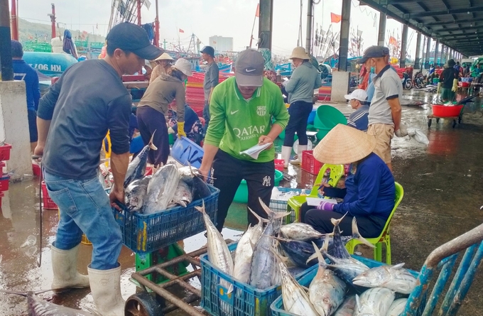 Quỹ hỗ trợ phát triển nghề cá Khánh Hòa hoạt động theo mô hình đơn vị sự nghiệp công lập trực thuộc UBND tỉnh Khánh Hòa. Ảnh: KS.