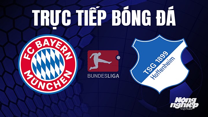 Trực tiếp bóng đá Bundesliga (VĐQG Đức) 2022/23 giữa Bayern Munich vs Hoffenheim hôm nay 15/4/2023