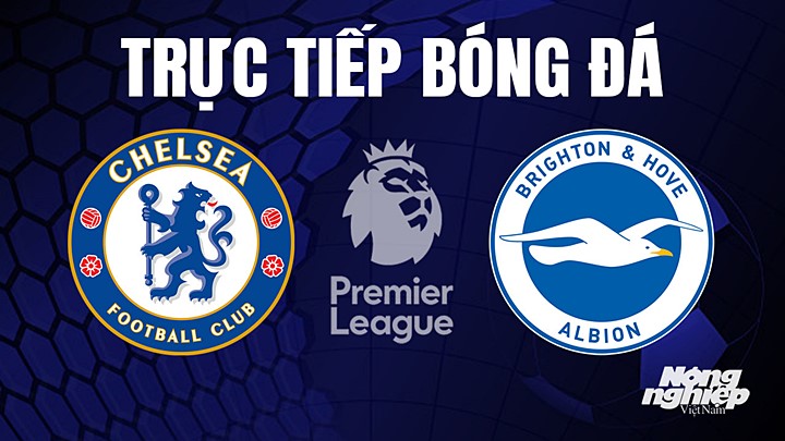 Trực tiếp bóng đá Ngoại hạng Anh giữa Chelsea vs Brighton hôm nay 15/4/2023