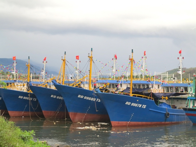 Thị xã Hoài Nhơn có lực lượng tàu cá đánh bắt xa bờ lớn nhất Bình Định. Ảnh: Vũ Đình Thung.