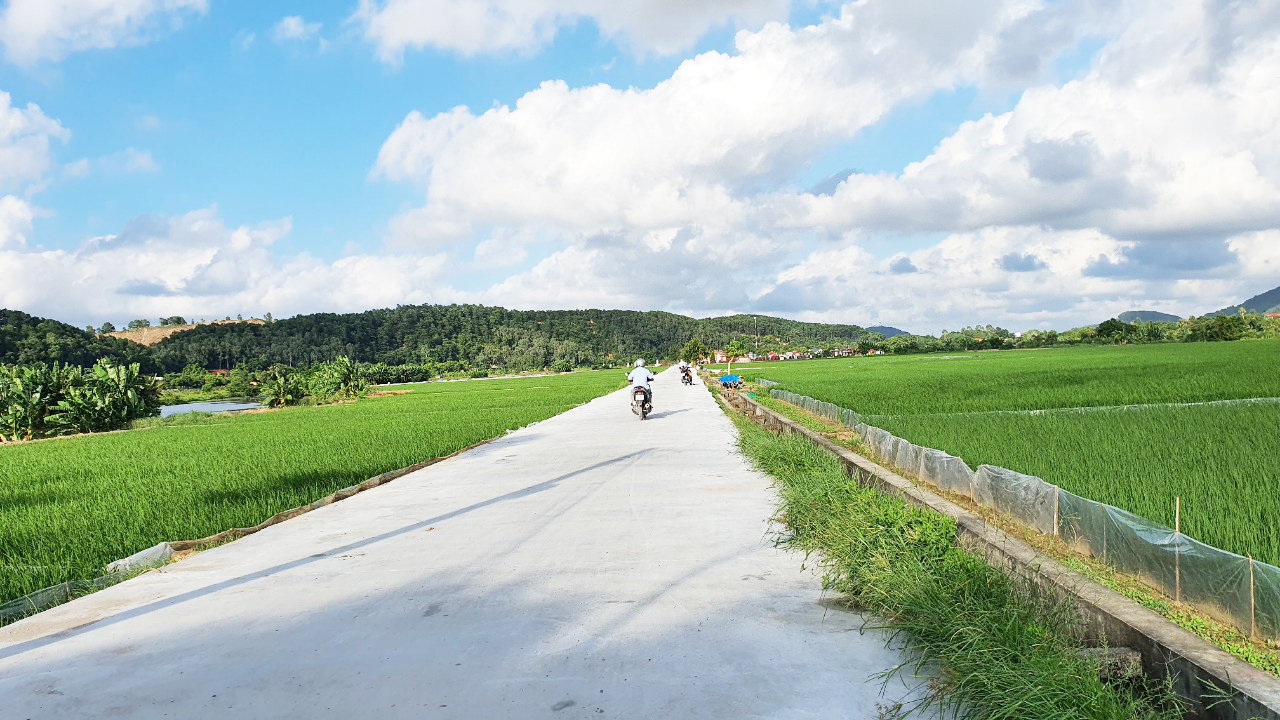 Đường giao thông nội đồng ở huyện An Lão được bê tông hóa, thuận tiện cho việc canh tác, vận chuyển nông sản. Ảnh: Đinh Mười.
