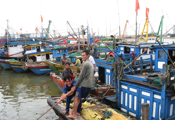 Tam Quan Fishing Port (Hoai Nhon town, Binh Dinh) is designated as a qualified fishing port to certify the origin of caught seafood. Photo: Vu Dinh Thung.