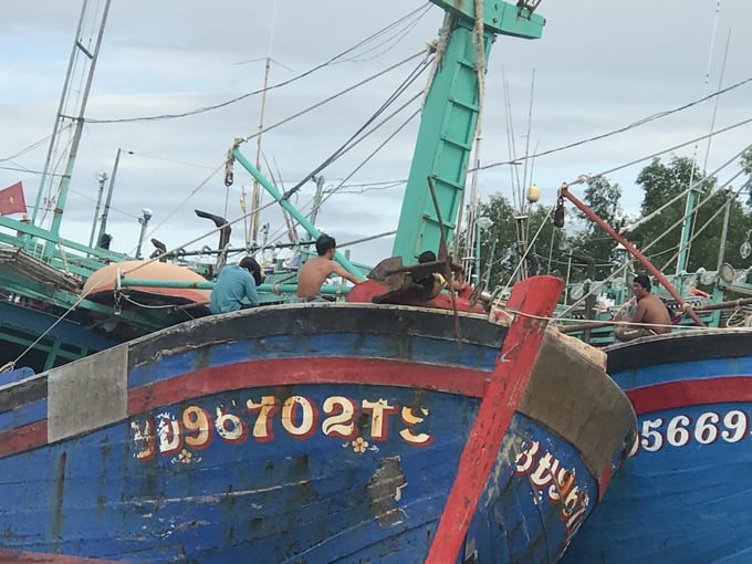 Fishing vessels of Binh Dinh fishermen operating in Tien Giang province. Photo: Vu Dinh Thung.