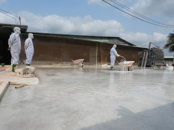 Owners of livestock farms in Tay Ninh are proactive in disease safety measures during production. Photo: Tran Trung.