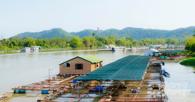 Với diện tích mặt hồ lớn, ít chịu tác động của thiên tai, ngành thủy sản của Đồng Nai có nhiều thuận lợi để phát triển nuôi cá lồng hồ. Ảnh: Lê Bình.