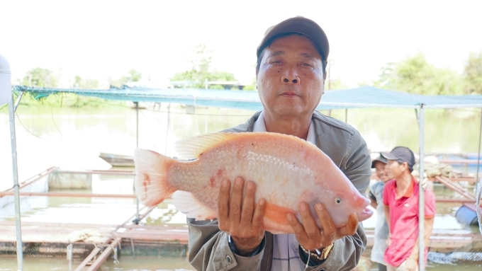 Cơ cấu ngành thủy sản Đồng Nai đang có sự chuyển dịch khá rõ rệt theo hướng tăng nhanh tỉ trọng nuôi trồng, giảm tỉ trọng khai thác. Ảnh: Lê Bình.