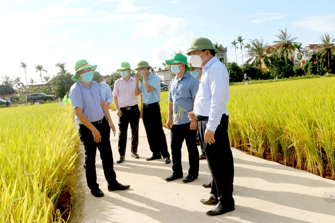 Vĩnh Bảo là một trọng điểm sản xuất nông nghiệp của TP Hải Phòng. Trong ảnh là ông Nguyễn Đức Thọ - Phó Chủ tịch UBND TP Hải Phòng trong một lần đi thực tế đánh giá năng suất lúa ở Vĩnh Bảo. Ảnh: Đinh Mười.