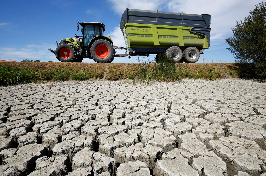 Một nông dân lái máy kéo qua vùng đất nứt nẻ tại Marais Breton (Pháp) khi đợt hạn hán lịch sử xảy ra hồi tháng 8/2022. Ảnh: Reuters.