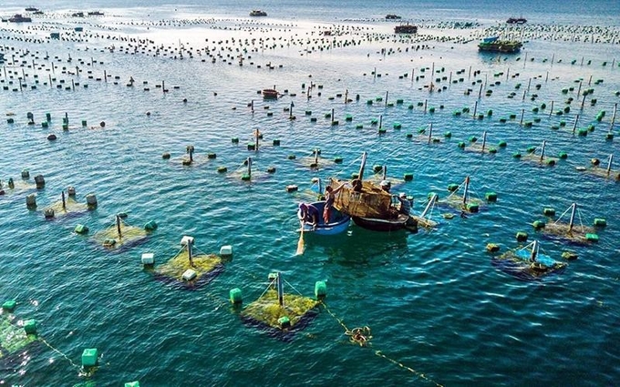 Để phát triển mô hình nuôi trồng thủy sản trên biển, gắn với du lịch sinh thái biển thì cộng đồng nuôi biển cần phải có hành động cụ thể, thiết thực và cấp bách. Ảnh minh họa.