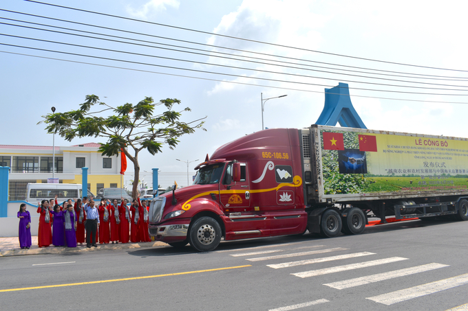 3 chuyến xe đầu tiên, mỗi chuyến 28 tấn khoai lang đã khởi hành sang Trung Quốc. Ảnh: Minh Đảm.